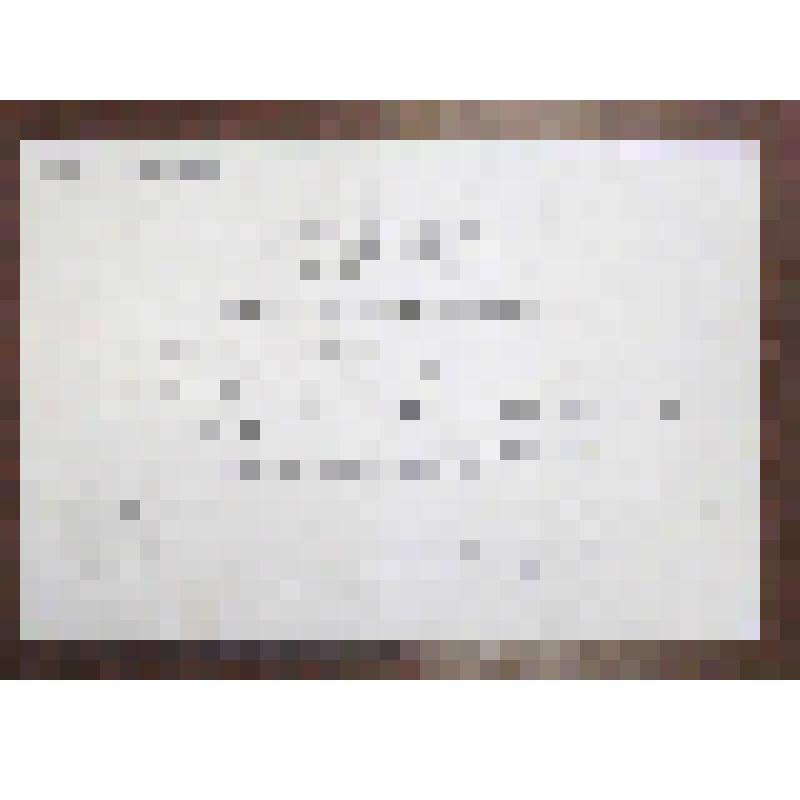 Пригласительный билет [Степановой А.И.] На английском языке