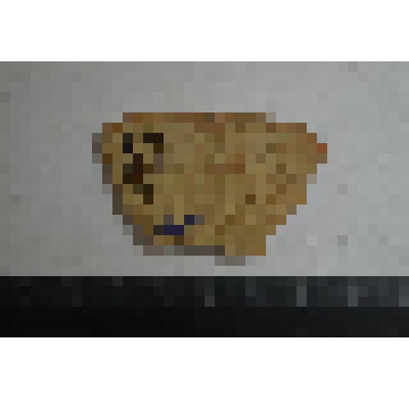 Сосуд. Фрагмент