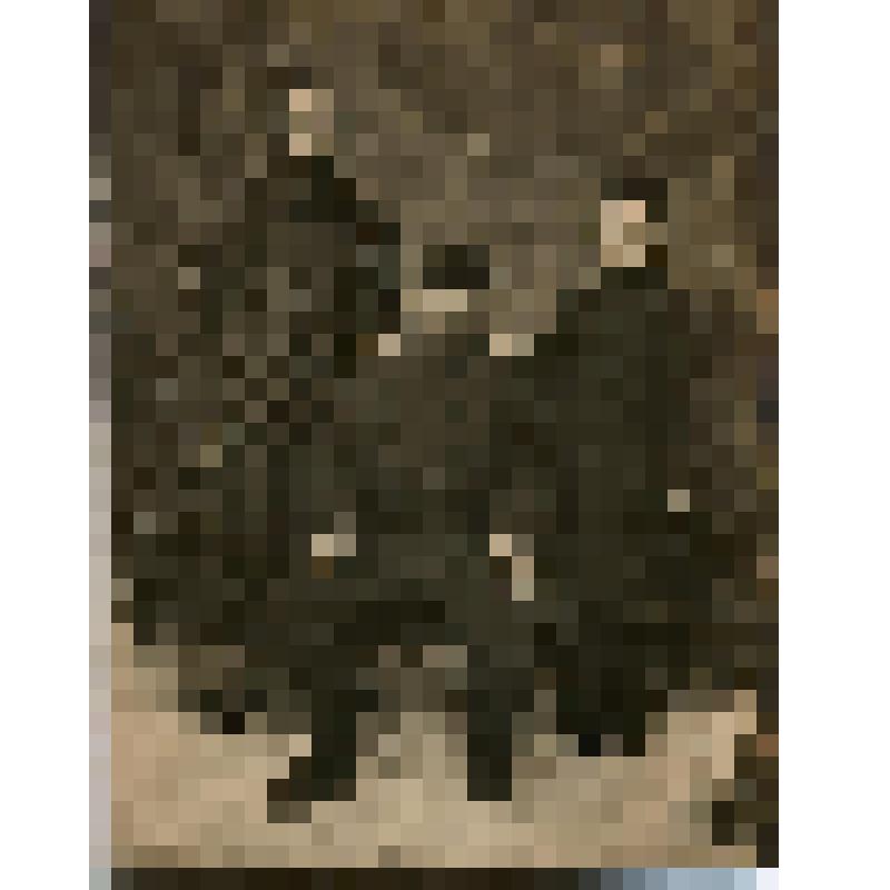 Худяков Александр Федорович с женой и сыном. Фотография