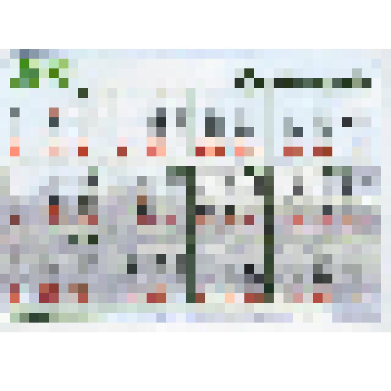 Календарь карманный на 2003 год. "45 лет Зеленограду"