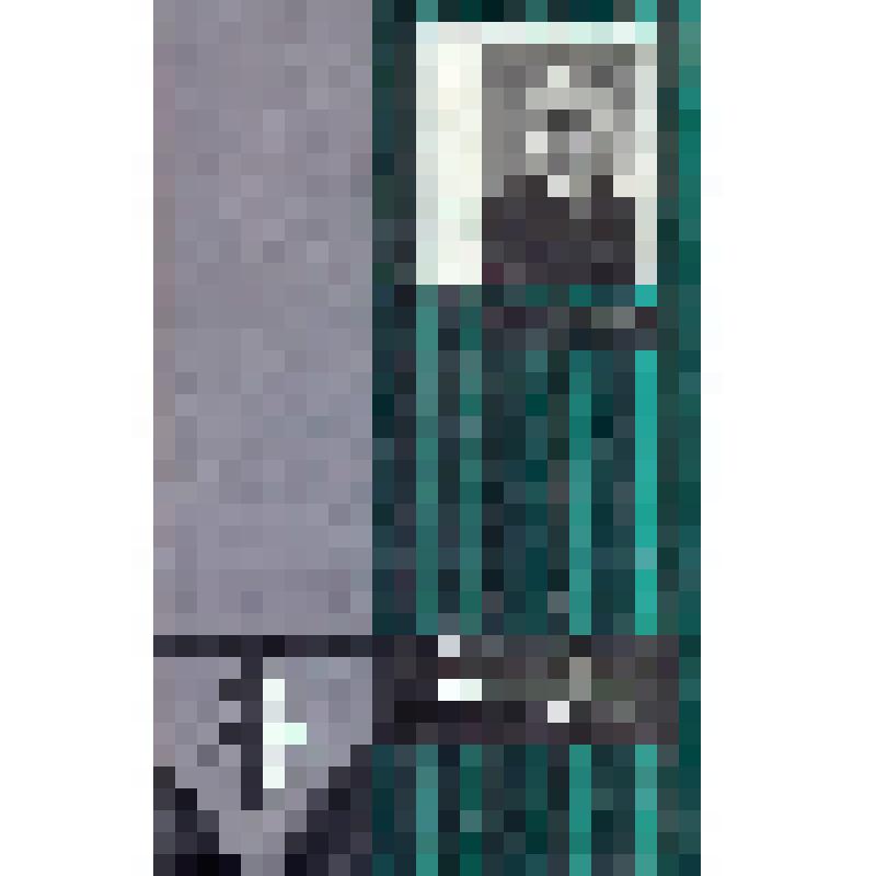 Книга. Лыковцы и лыковские гости. - Иркутск: Восточно-Сибирское книжное изд-во, 1980