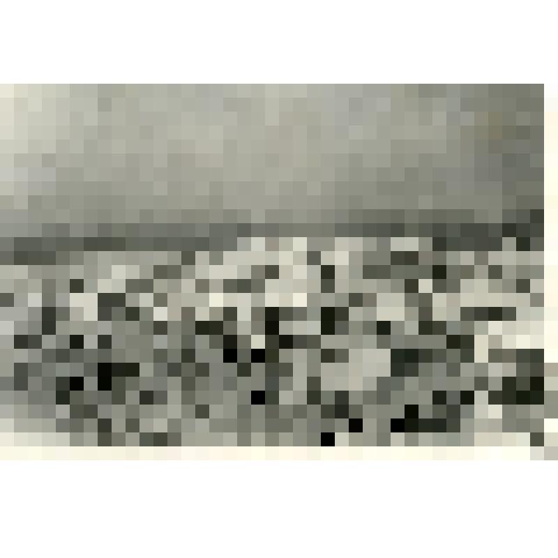 Новый жилой район города Ташкента