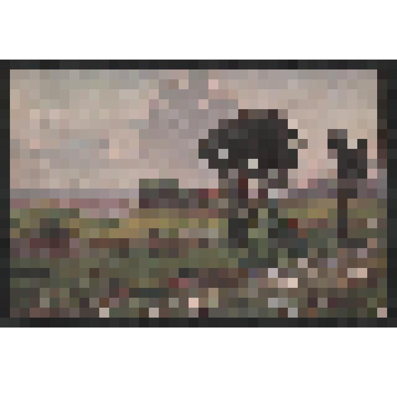 Открытка. Юкки бл. Петербурга. № 1190