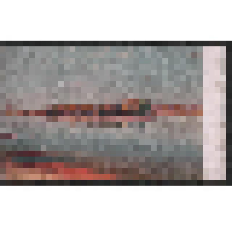 Открытка. Петроград. Елагин остров и Стрелка. № 1587