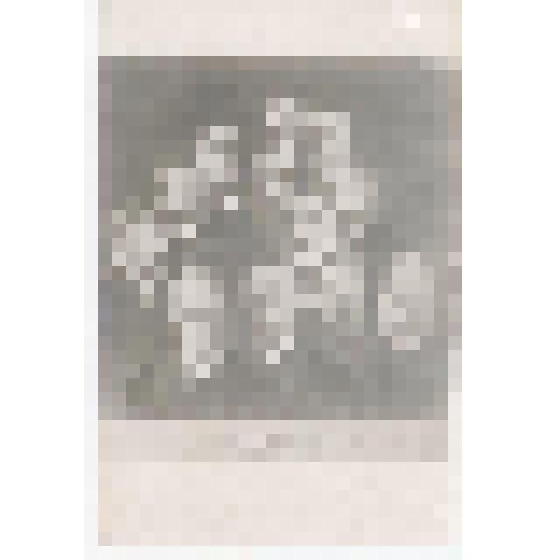 Открытка. Первое правительство свободной России