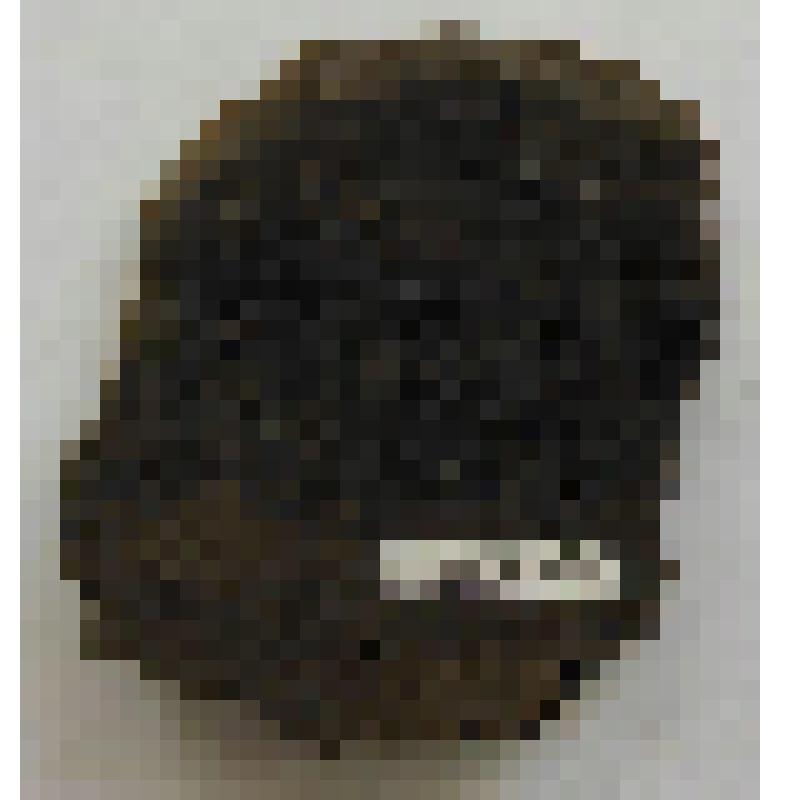 Фрагмент стенки сосуда