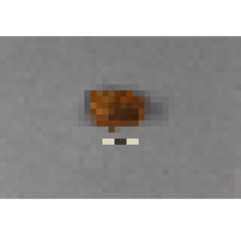 Фрагмент стенки керамического сосуда  с основанием и частью ручки, с площадки памятника "Черемуховослободинское селище III" . Новошешминский  район  Республики Татарстан