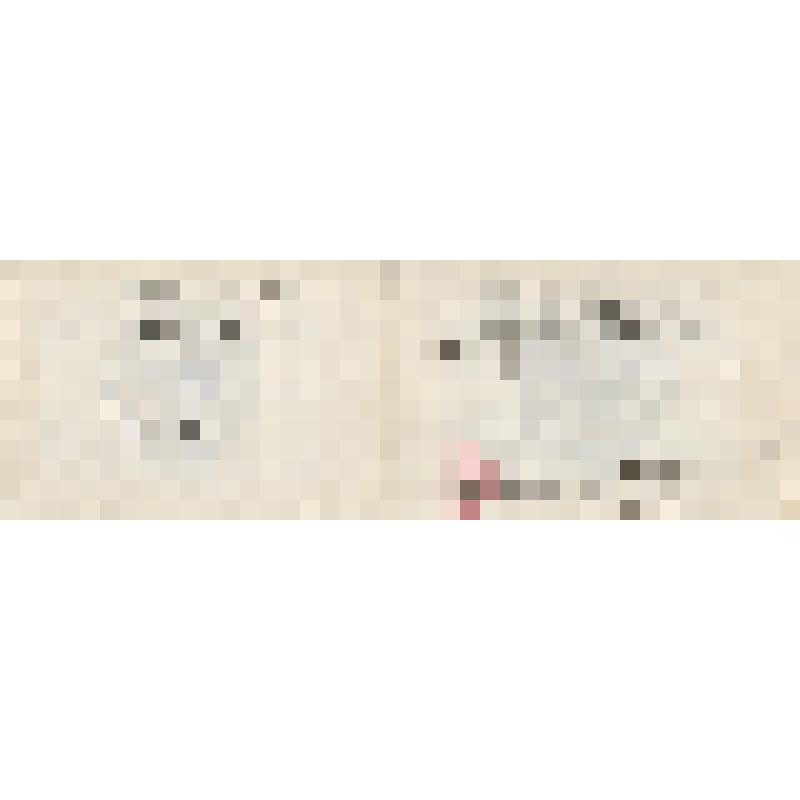 Аттестат доцента серия ДЦ № 068198 Шнайдштейн Евгении Вульфовны