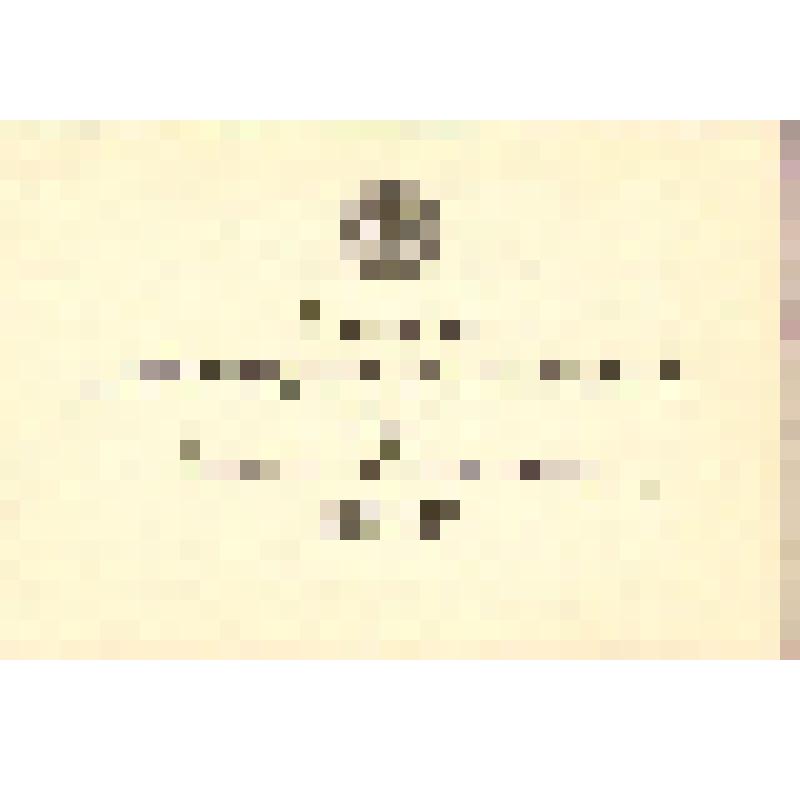 Аттестат доцента серия ДЦ № 068198 Шнайдштейн Евгении Вульфовны