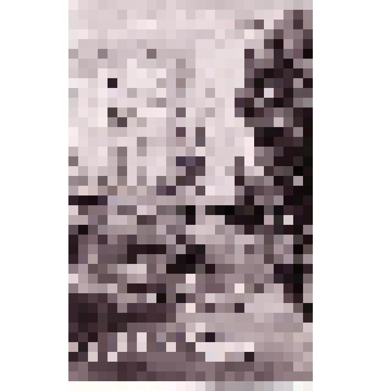 Фотография
«Жилой 9-ти этажный дом  Балашовского
слюдокомбината по ул. К.Маркса, 39»