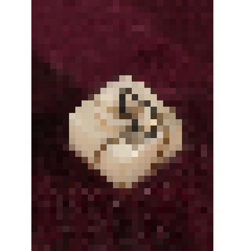 Коробка с костяными бирюльками: мельница