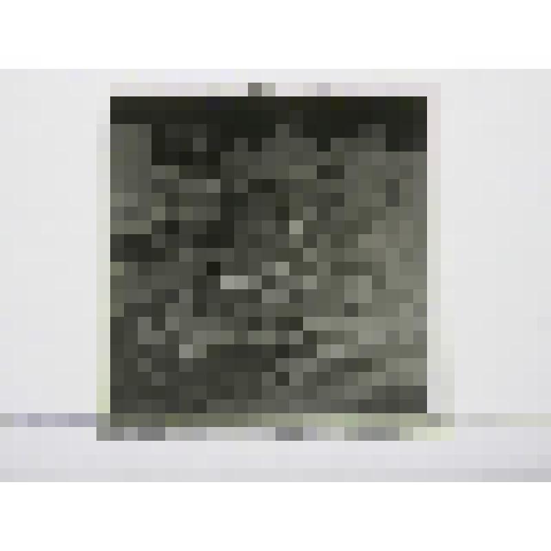 Памятник Энгельсу Ф. Пл. Пречестенских ворот. 1976г. г. Москва. Памятник Энгельсу Ф. Козловский И. И.; Заварзин А. А.; Усачев А. А. Общий вид