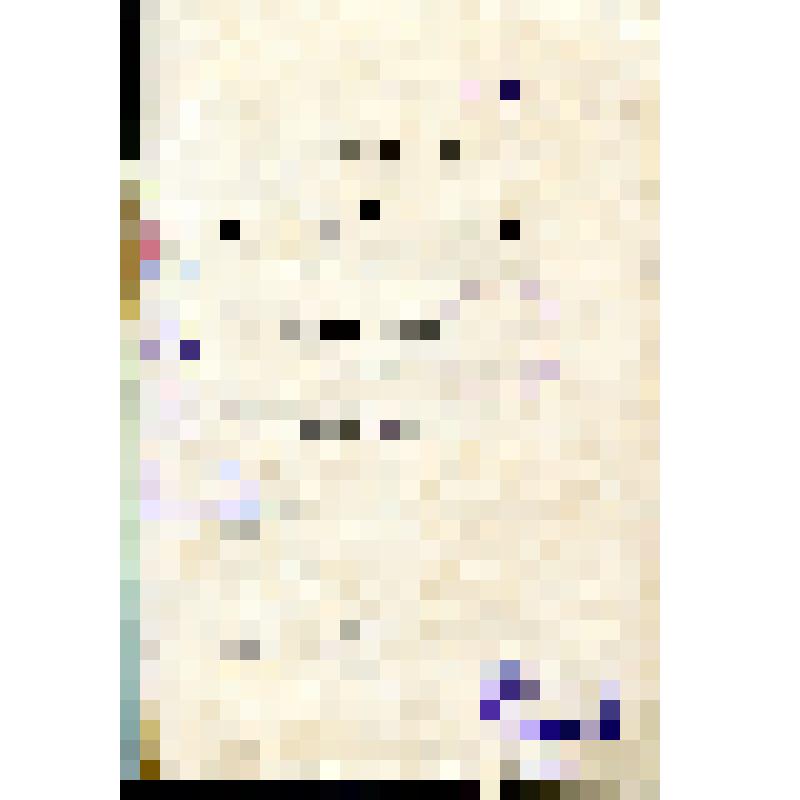 Книга: Воронежская старина. Выпуск первый. Издание Воронежского Церковного Историко-археологического Комитета, Воронеж, 1902 г