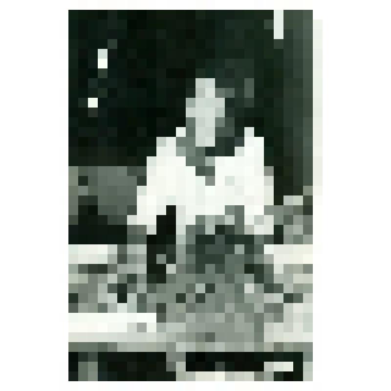 Фотография чёрно-белая: Савченко Эмилия Яковлевна