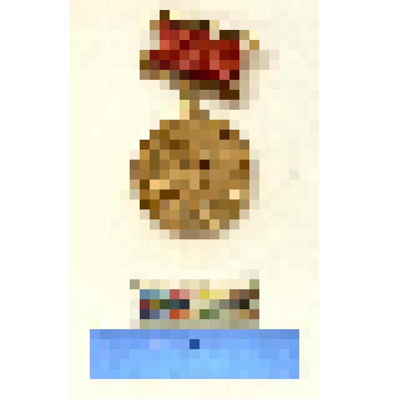 СССР. Нагрудный знак. Центра управления полетом