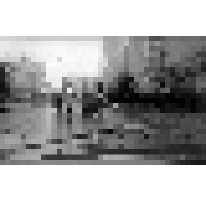 Серия фотографий с авторской фотовыставки "Мой взгляд". Фото цв. Осенний день