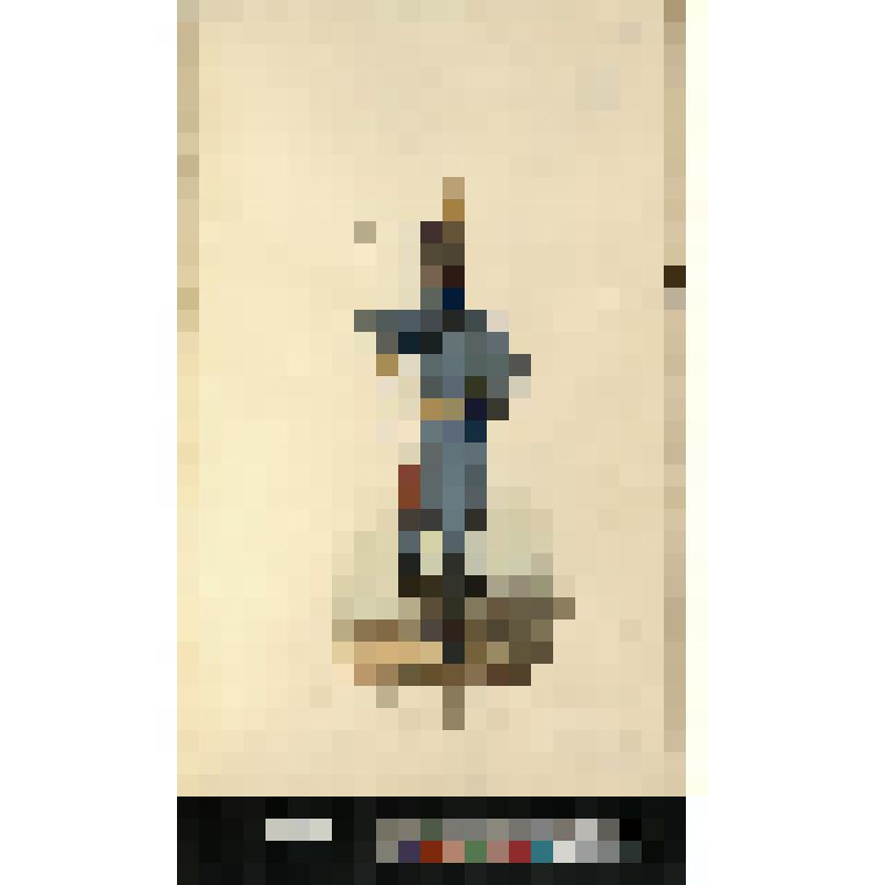 Рядовой пехотного полка Индельты шведских войск