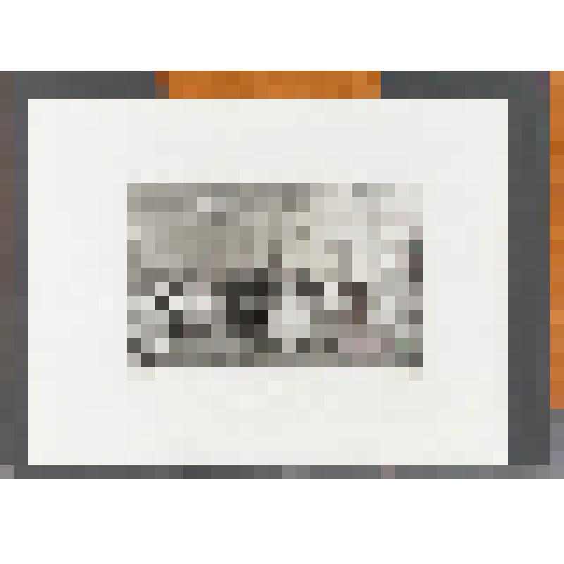 Гравюра на металле. «Зеленая гостиная в Опера»