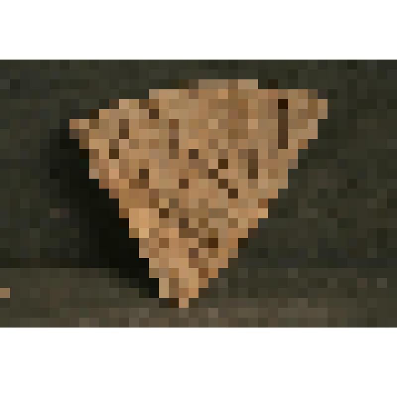 Изразец печной рельефный терракотовый (красный). Фрагмент