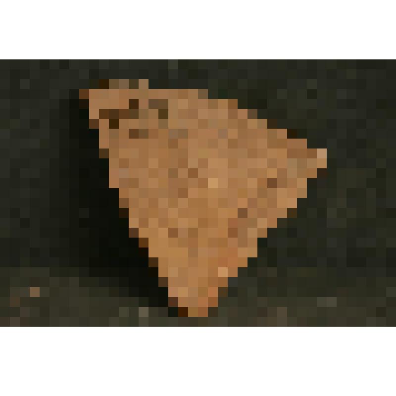 Изразец печной рельефный терракотовый (красный). Фрагмент