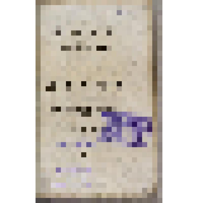 Книга. Œkonomisch=praktischer Unterricht über den vortheilhaftesten Anbau und die beste Benuzzung der Kartoffeln