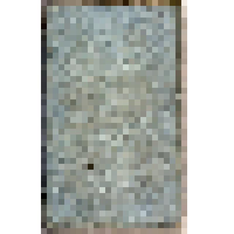 Книга. Œkonomisch=praktischer Unterricht über den vortheilhaftesten Anbau und die beste Benuzzung der Kartoffeln