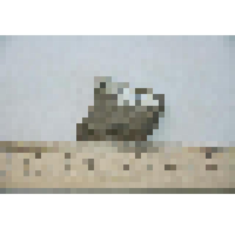 Фрагмент стенки сосуда