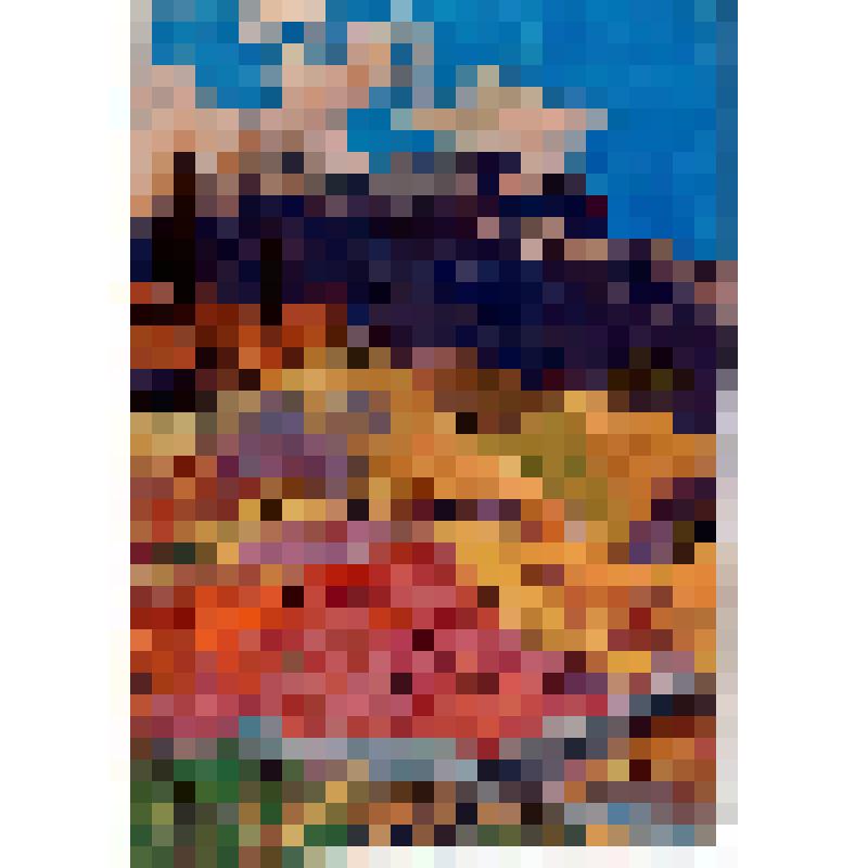 Этюд Виноградники