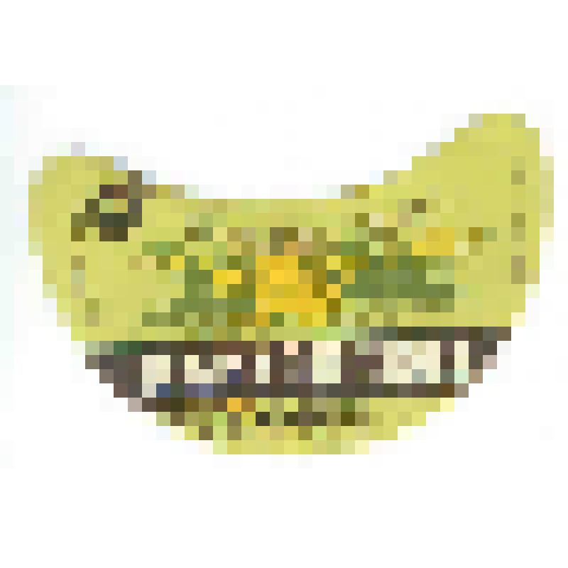 Кольеретка «Мартовское пиво» к напитку производства Горьковского пивзавода «Волга», из коллекции кольереток - этикеток горловых к бутылкам для пива