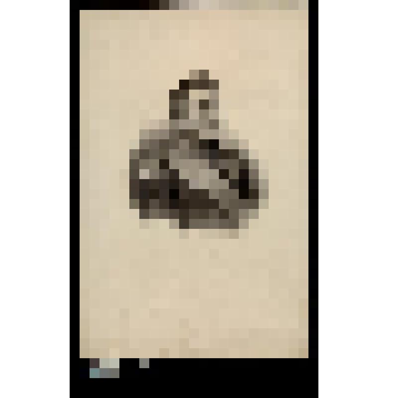 Портрет маршала Б.Клазеля