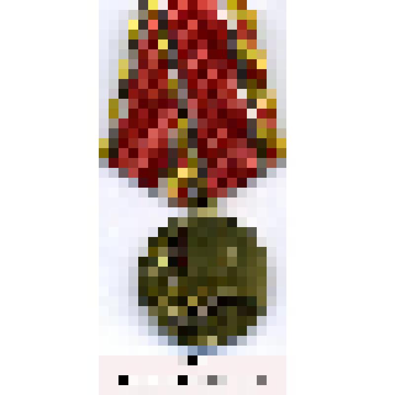 Медаль юбилейная «65 лет Победы советского народа над гитлеровской Германией в Великой Отечественной войне 1941 –1945 гг.»