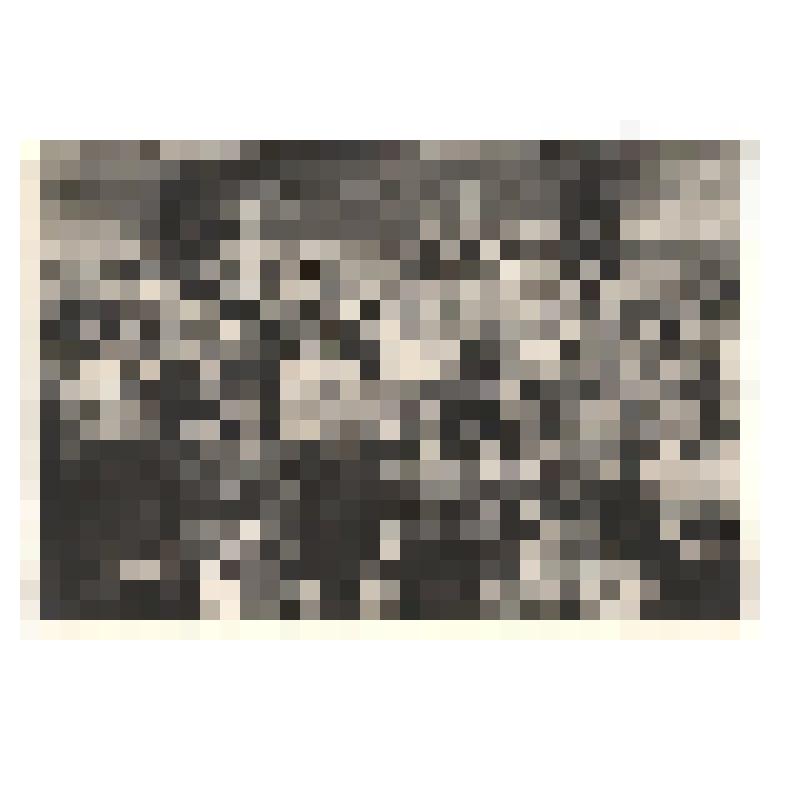 Фотография групповая. Дмитрий Покрас - известный в СССР композитор-песенник на Сахалине в гостях у пионеров пионерского лагеря "Ленинское знамя"