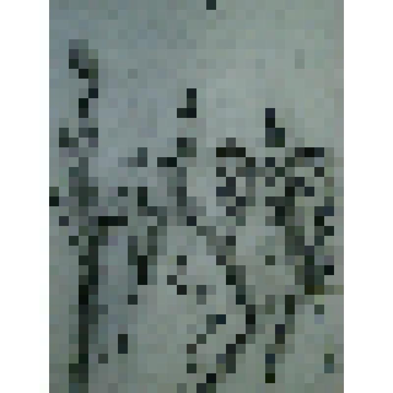 Дружная семья. Из цикла "Невинно страдавшие"