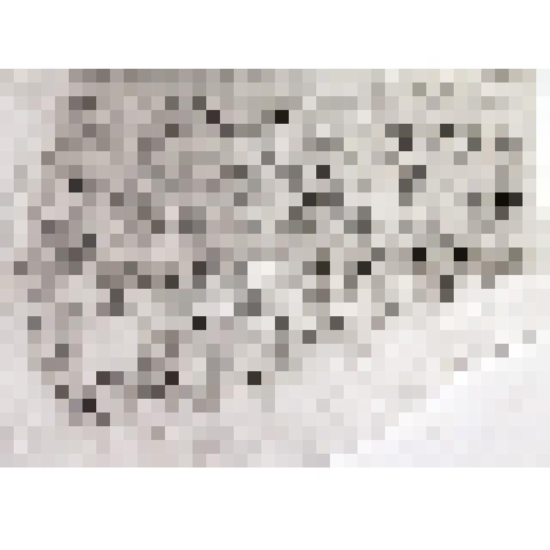 Фотография черно-белая