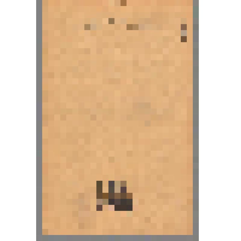 Журнал. Вопросы истории