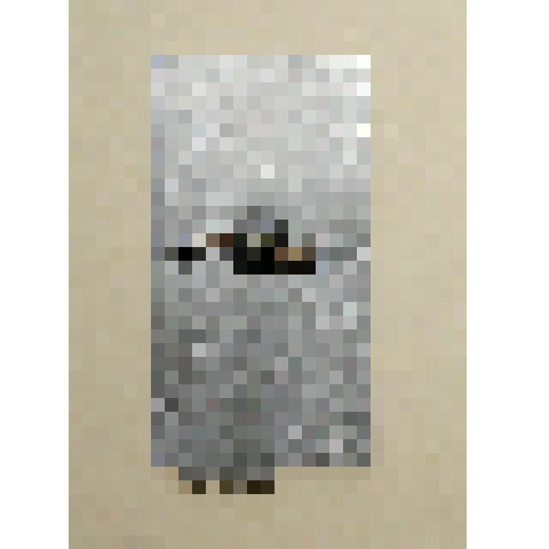 Значок к 100-летию со дня рождения В.И. Ленина