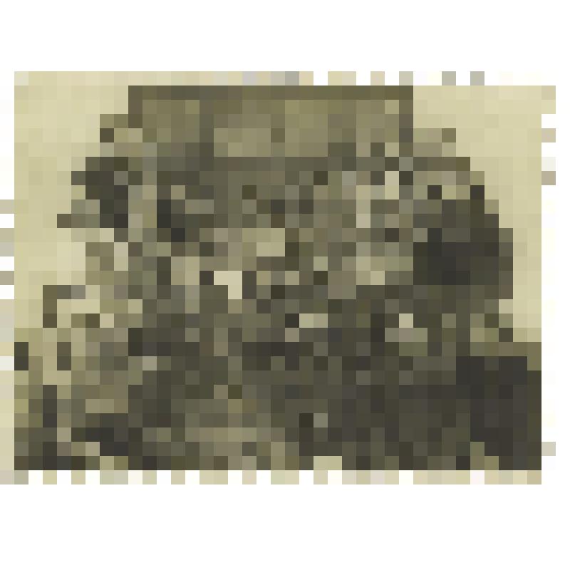 Фотография групповая. Пятигорская швейная фабрика. Дукова Н.И. среди коллег у входа на фабрику