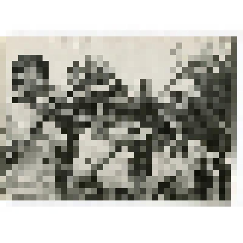 Фото сюжетное. Выступление духового оркестра Шаховского РДК