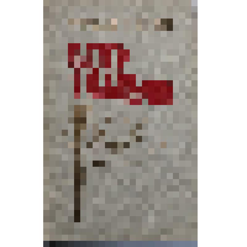 Книга "Ветер с Олимпа"