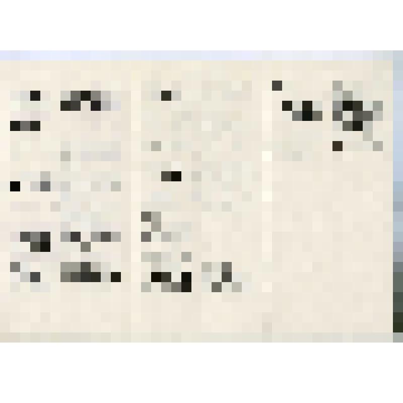 Программа, печатная продукция Новоалтайской типографии к 50-летию города, май 1992г