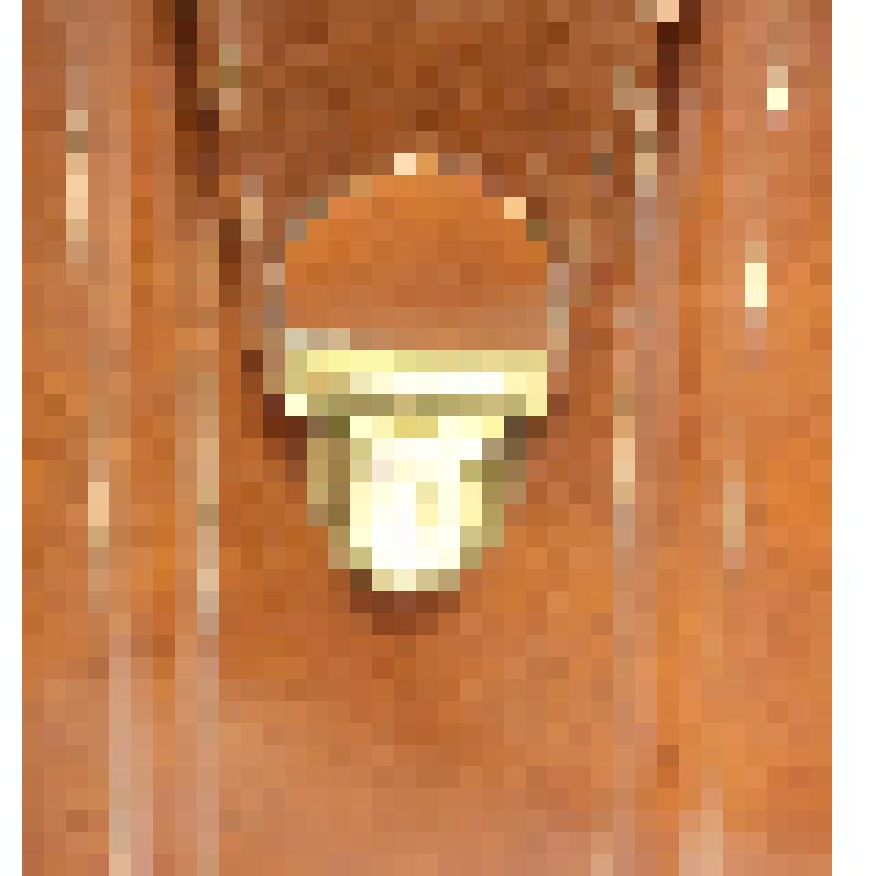 Портфель Тегенцева Владимира Петровича, ветерана Великой Отечественной войны