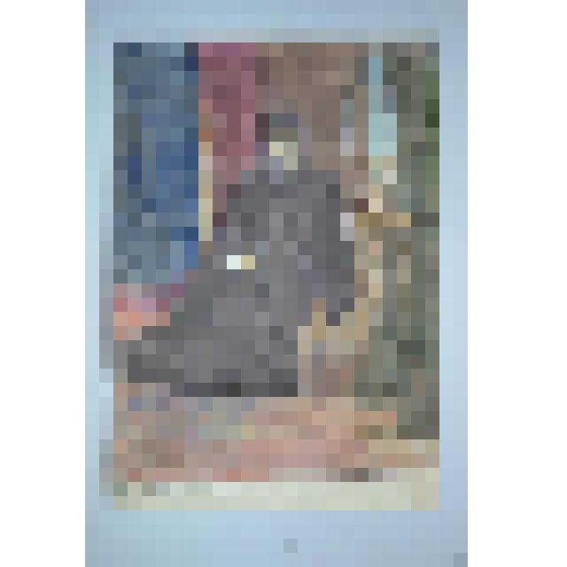 "Тяжелое раздумье"