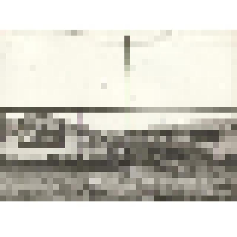 Фотография. Видовая. Комплекс по выращиванию свиней  в колхозе им. Жданова, п. Ракитное