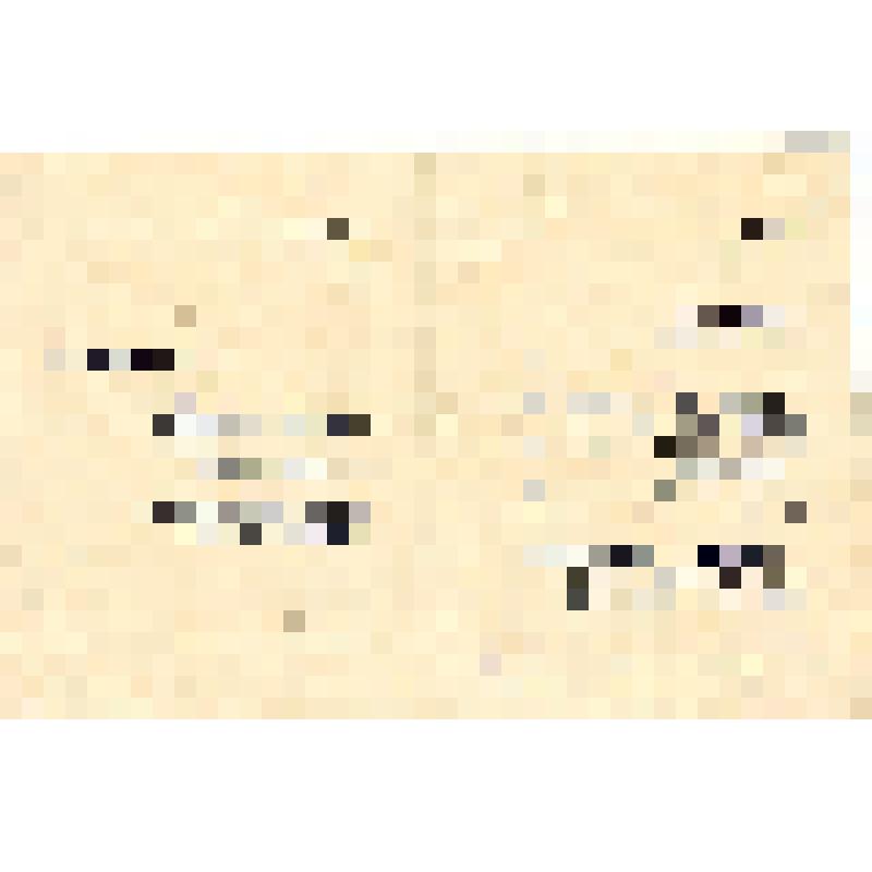 Памятка делегату 7-ой сессии Новосибирского областного совета депутатов трудящихся (порядок дня и регламент) проект