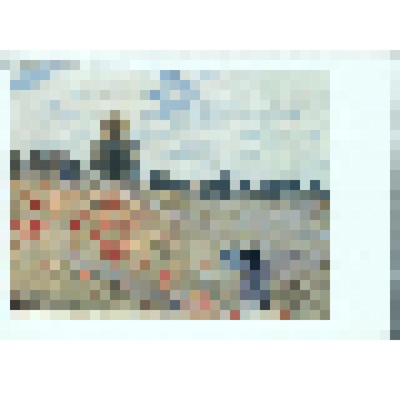 Поле маков. 1873 г. Репродукция картины Клода Моне. Париж. Лувр