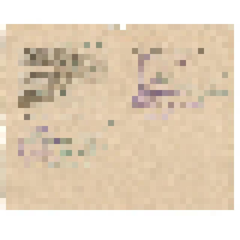 Документ. Книжка личная рядового Лапотышкина А.В