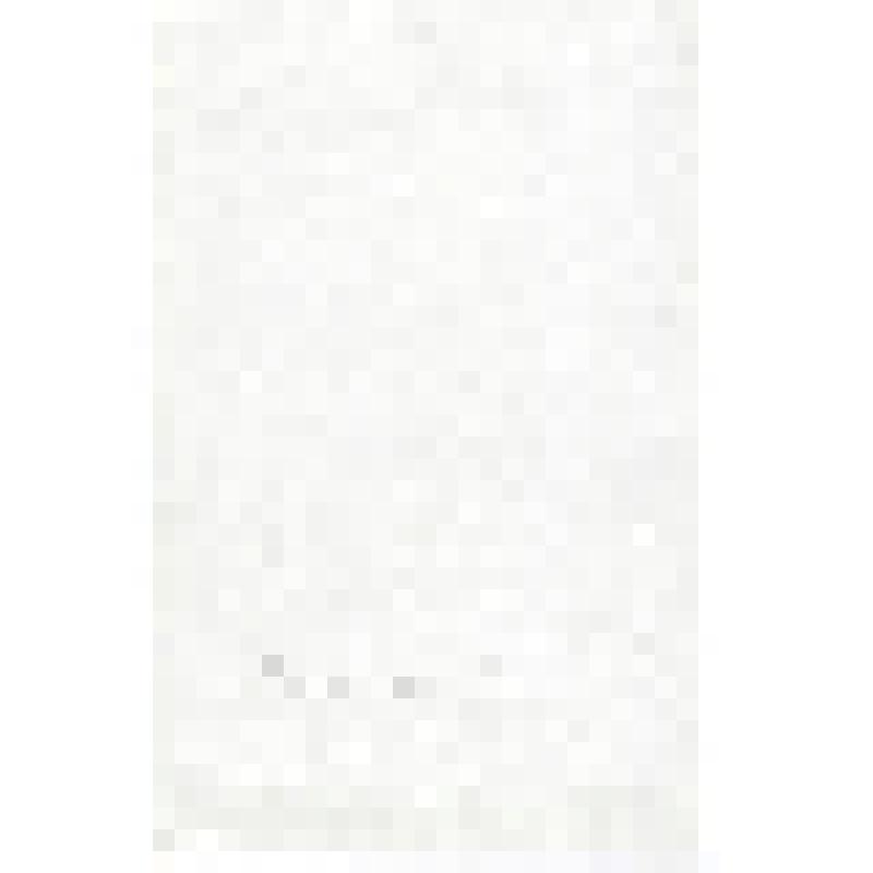 Фотокопия. Л.К.Татьяничева. (Портрет для книги)