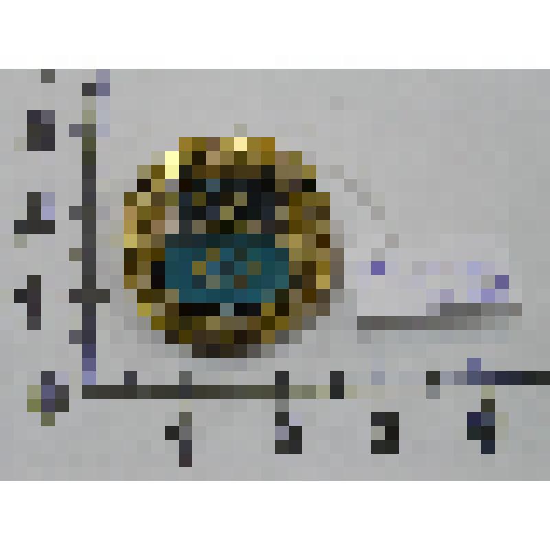 Значок сувенирный - Моршанск