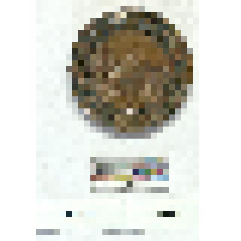 Латвия. Медаль. Премия общества птицеводства. За усердие в выставке