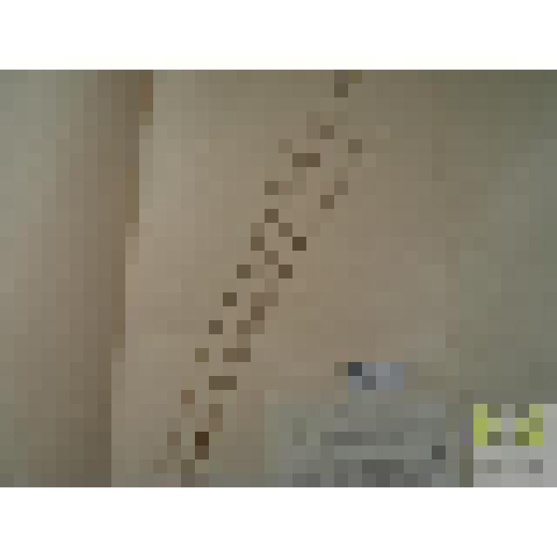 Пушица влагалищная (Eriophorum vaginatum L.)